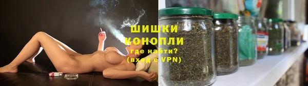 прущие грибы Мегион
