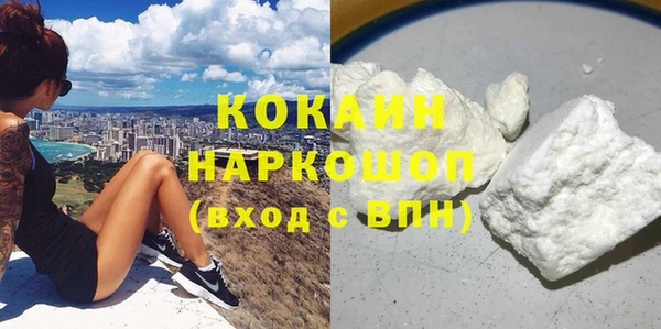 прущие грибы Майский
