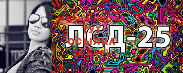прущие грибы Майский